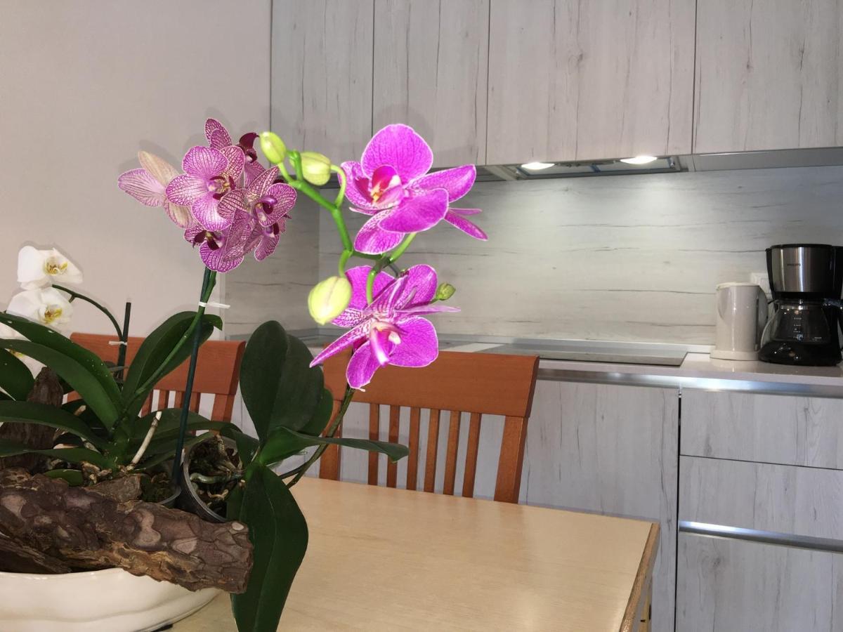 Casa Eva Lägenhet Bibione Exteriör bild